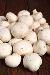Common mushrooms. Agaricus bisporus.