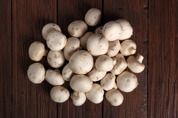 Common mushrooms. Agaricus bisporus.