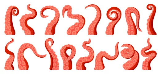 Foto op Plexiglas Octopus of tentacle isolated cartoon icon. Sea squid vector cartoon set icon. Vector illustration octopus of tentacle on white background . © Svitlana
