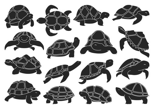 Sea turtle vector illustration on white background .Tortoise of animal vector black set icon. Isolated black set icon sea turtle .