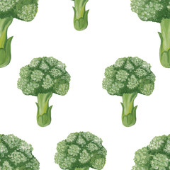 Broccoli seamless pattern on a white  background. Hand drawn broccoli in realistic style on white