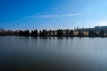 Fototapeta premium lake with trees in the background on a beautiful day with the sun