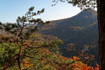 Fototapeta na wymiar Pine in the background of a mountain valley. Autumn.