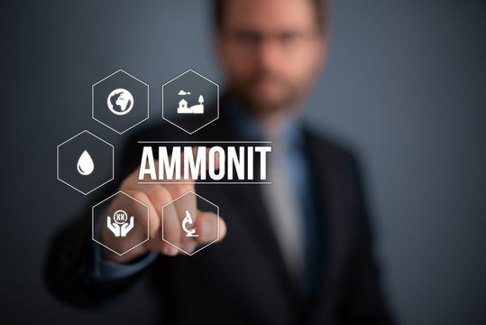 Ammonit
