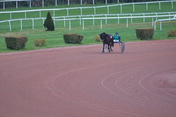 Un Dimanche de Courses