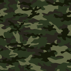 Seamless camouflage pattern on textile. Vector. Ornament.