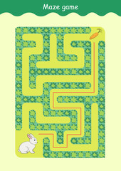 Rabbit and Carrot Maze educational game for children