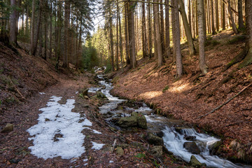 brook during snow melting in spring and tusk fallen leaves from autumn, Czech