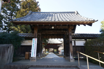 Fototapeta premium 茂林寺
