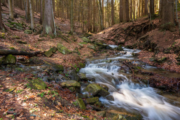 brook during snow melting in spring and tusk fallen leaves from autumn, Czech