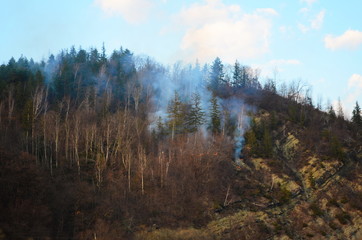 Raging pine tree fire across the hill