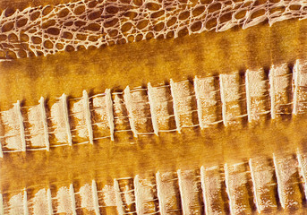 Genuine leather texture. Leather surface. Close up. Copy space.