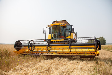 Fototapeta na wymiar combine harvester on a wheat field