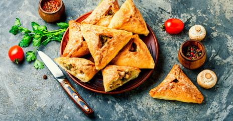 Russian chicken pie or kurnik © nikolaydonetsk