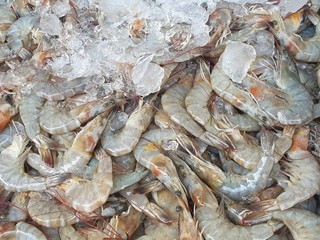 Banana shrimp for sale in Bangkok Fresh Market . Fenneropenaeus merguiensis