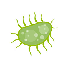 Vector common human virus