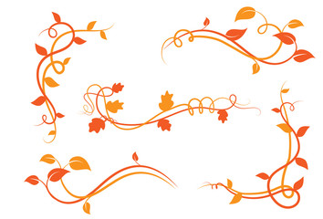 Collezione di elementi floreali decorativi, ramo con foglie di edera, liane © Hurca!