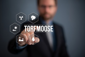 Torfmoose