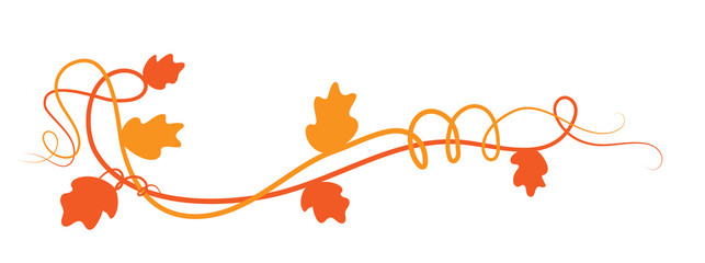 Elemento floreale decorativo arancione, ramo rampicante di edera con foglie  © Hurca!