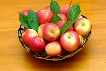 Rockit apple, A Hawke's Bay new Zealand apple, one of the best apple of New Zealand, New Zealand pride