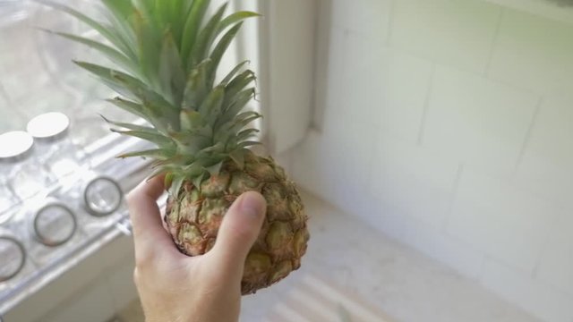 male hand showing small pineapple