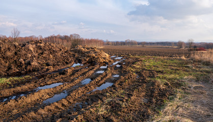 pile of manure with field and trees in background at sunset