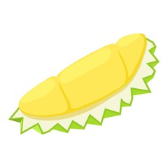 Piece durian fruit icon. Isometric of piece durian fruit vector icon for web design isolated on white background