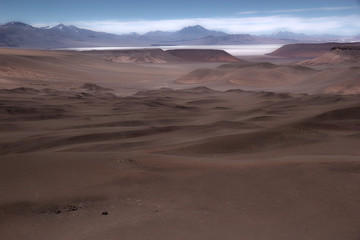 Landscape at the Puna de Atacama with Llullaillaco volcano in the background, Argentina