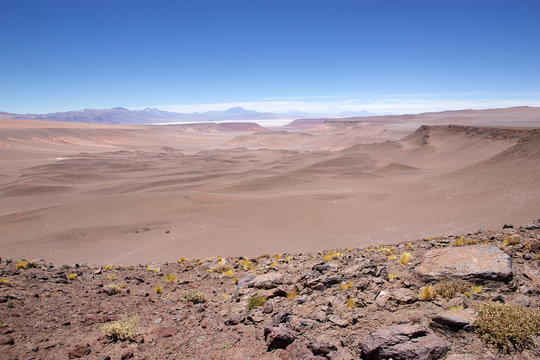 Landscape at the Puna de Atacama with Llullaillaco volcano in the background, Argentina