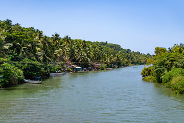 view into the green channel of the indian backwaters, india