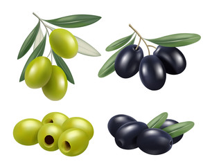 Olive realistic. Greek nature food olive branches relax spa oil vector symbols. Illustration olive fruit green and black