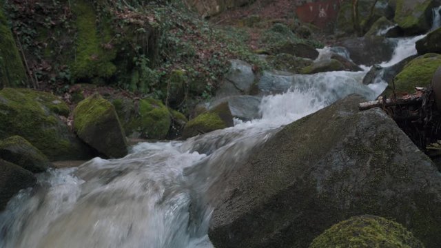 Video of a mountains stream, Moving Past Rocky River In The Forest