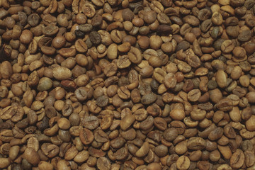Coffee beans texture, Coffee beans have not been roasted, Dry seeds.