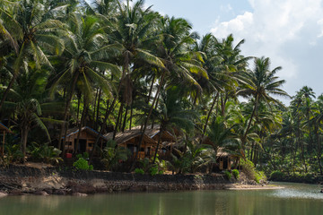 huts at the backwaters at kola beach in goa, india