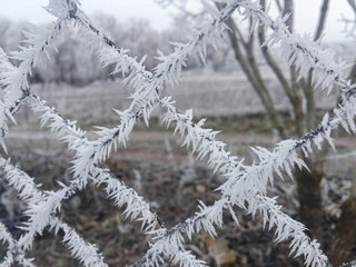 Beautiful frosty pattern on the fence. White winter patterns on metal fencing. Part of the fence...