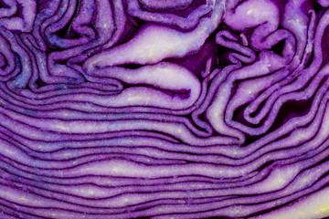 Background Of Ingredient Of Cabbage Raw Texture 