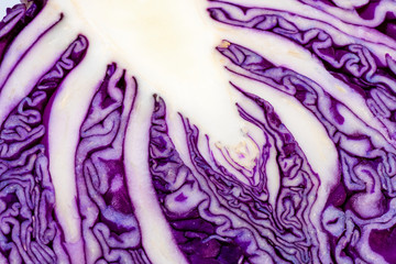 Obraz premium Background Of Ingredient Of Cabbage Raw Texture 