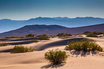 National parks usa southwest landscape of rocks and petrified sand dunes in NP Valley of Death (one of the warmest places on Earth)