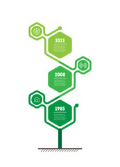 Vertical infographics or timeline with 3 options. Development and growth of the eco business or green technology. Time line is made of hexagons. Business concept with three steps. Vector.