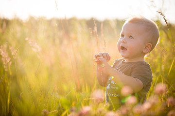 Portrait of a cute toddler boy sitting in a field among the grass at sunset. A child walks in the...