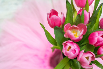 Obraz premium Beautiful spring bouquet of Dutch pink tulips on the pink background
