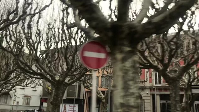 Slow motion shot of unusual barren trees in city street park, Spain