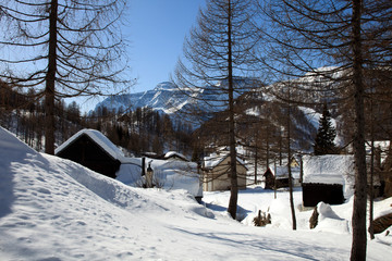 Devero Park ( Verbano-Cusio-Ossola ), Italy - January 15, 2017: Typical houses in the forest at Alpe Devero Park, Ossola Valley, VCO, Piedmont, Italy