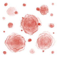 ウイルスのようなイメージ4