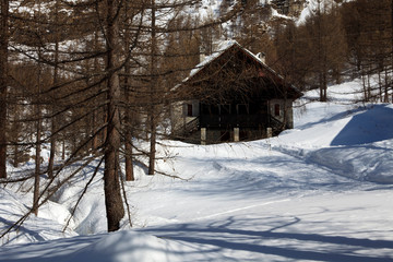 Devero Park ( Verbano-Cusio-Ossola ), Italy - January 15, 2017: Typical houses in the forest at Alpe Devero Park, Ossola Valley, VCO, Piedmont, Italy