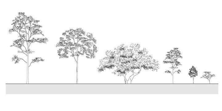 Krajinný dizajn načrtáva strom