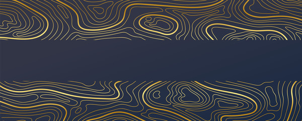 Luxury gold abstract topographic map background with golden lines  texture, 17:9 wallpaper design for fabric , packaging , web, geographic grid map vector illustration. © TWINS DESIGN STUDIO
