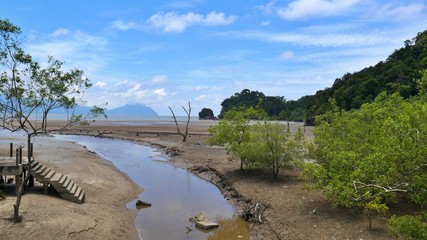 View at low tide in Bako Nationalpark, Borneo, Malaysia