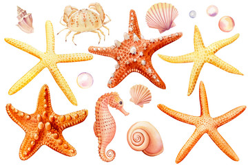 Watercolor set of seashells, crab, seahorse, starfish, bubbles, on an isolated white background, hand drawing, summer sea clipart