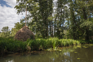 Spreewald
